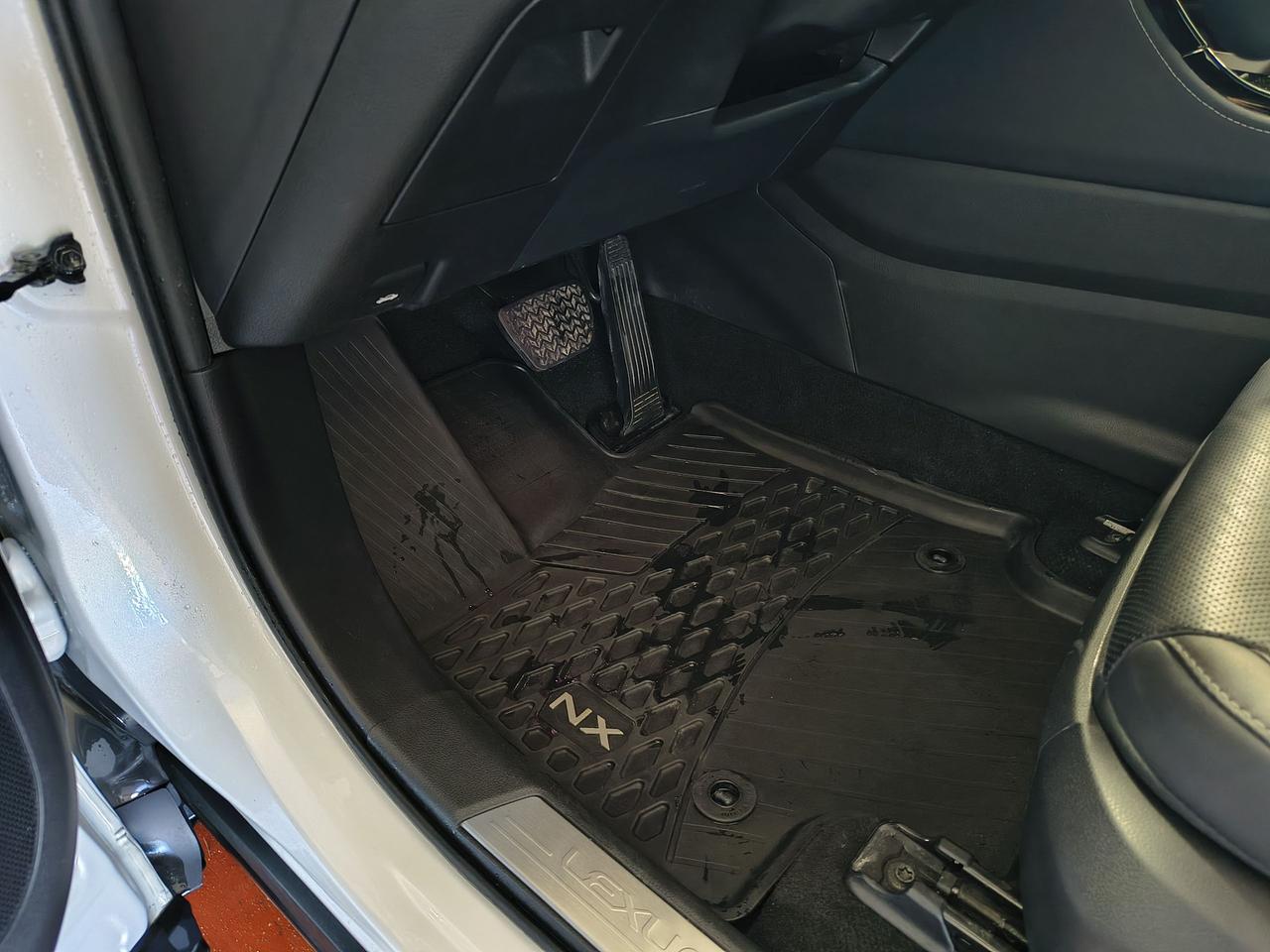 2022 Lexus NX NX 350H Photo0