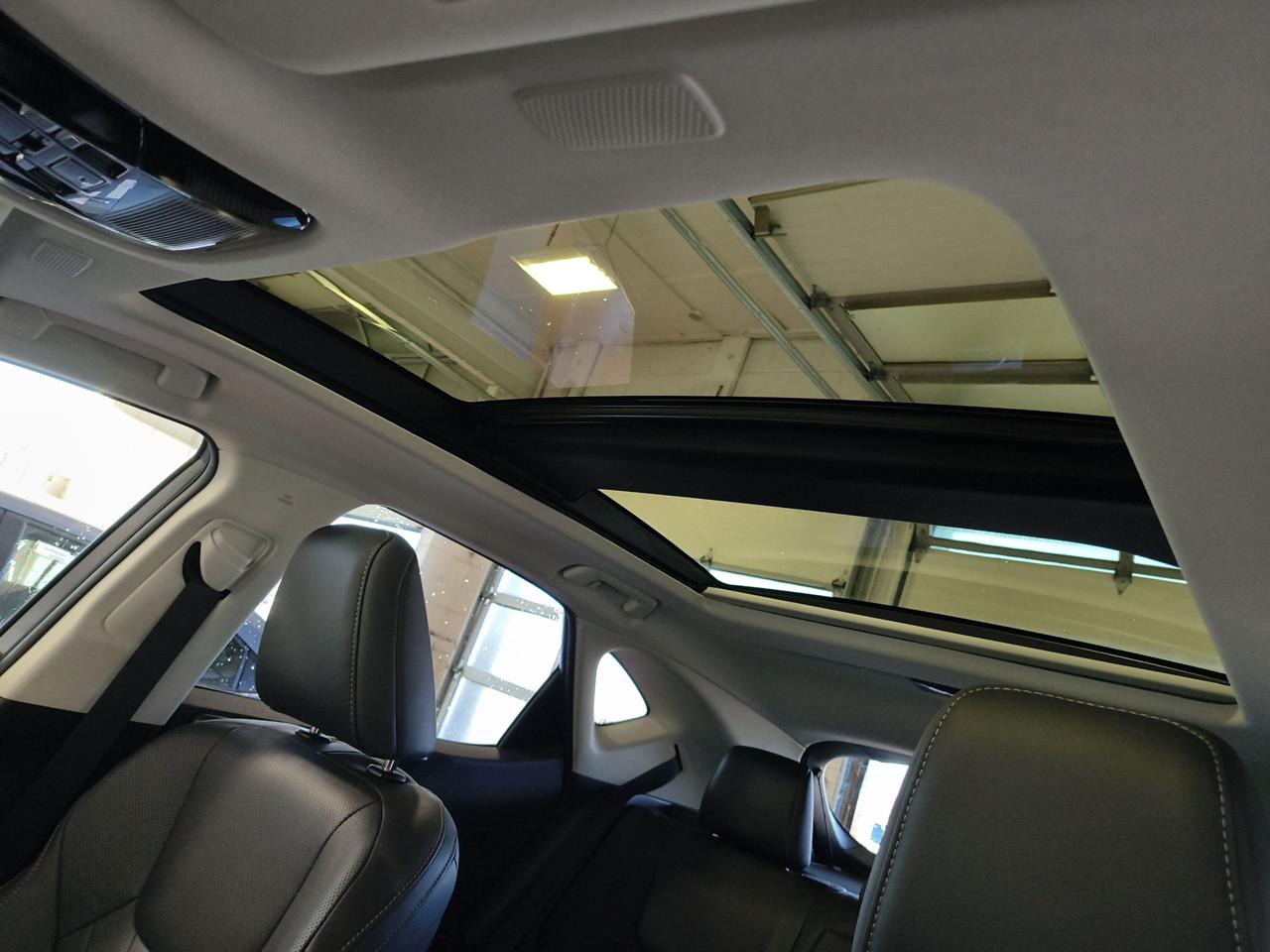 2022 Lexus NX NX 350H Photo0