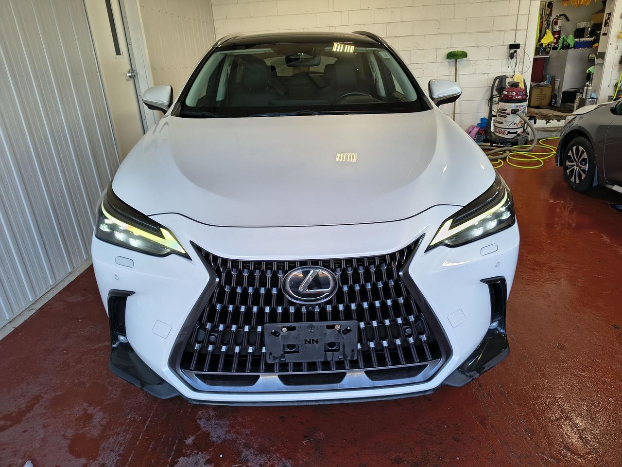 2022 Lexus NX NX 350H Photo
