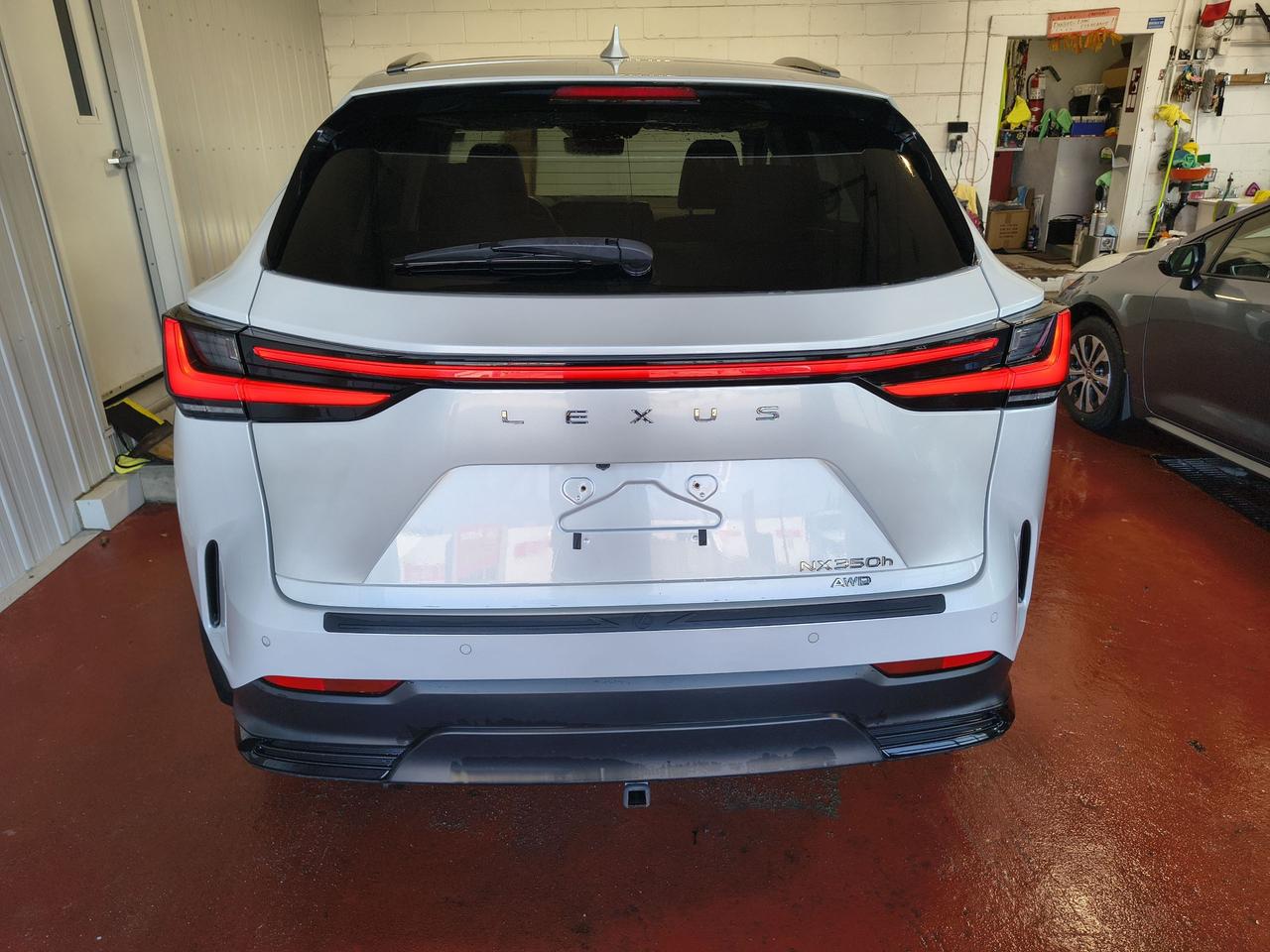 2022 Lexus NX NX 350H Photo0