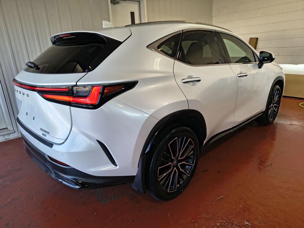2022 Lexus NX NX 350H Photo0