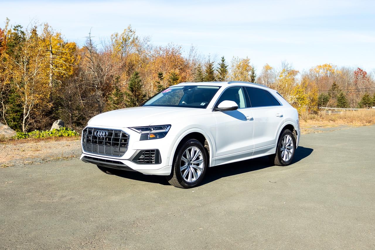 2019 Audi Q8 Progressiv 55 TFSI quattro