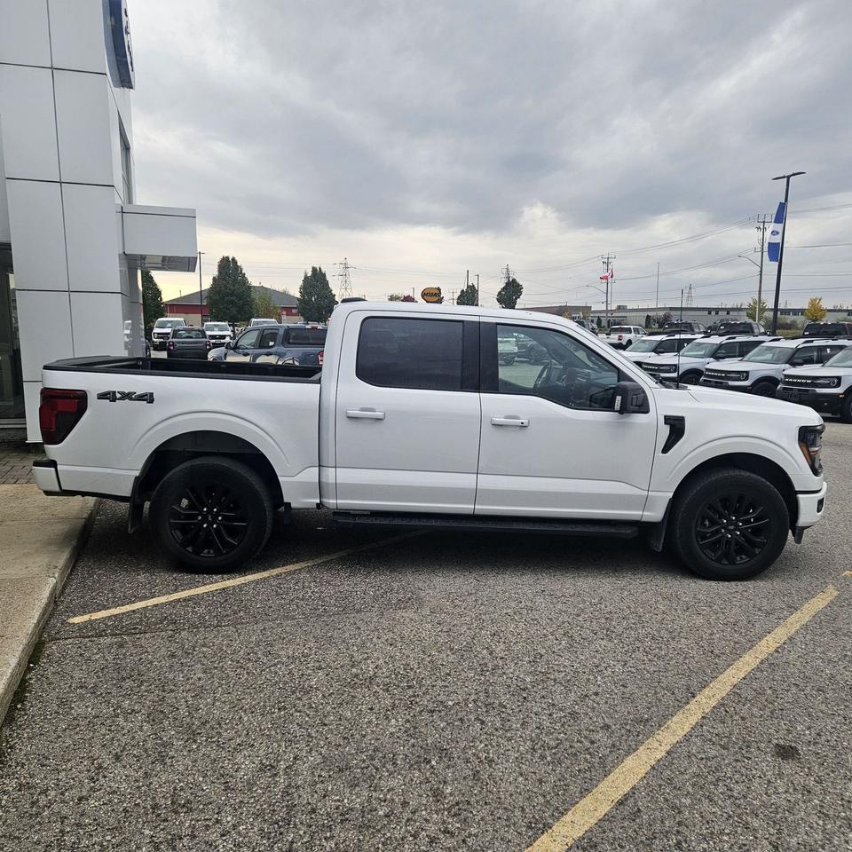 2024 Ford F-150 XLT 4WD SuperCrew 145"" WB Photo3