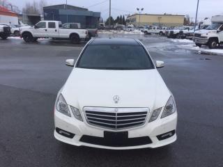 Used 2010 Mercedes-Benz E-Class E350 for sale in Langley, BC