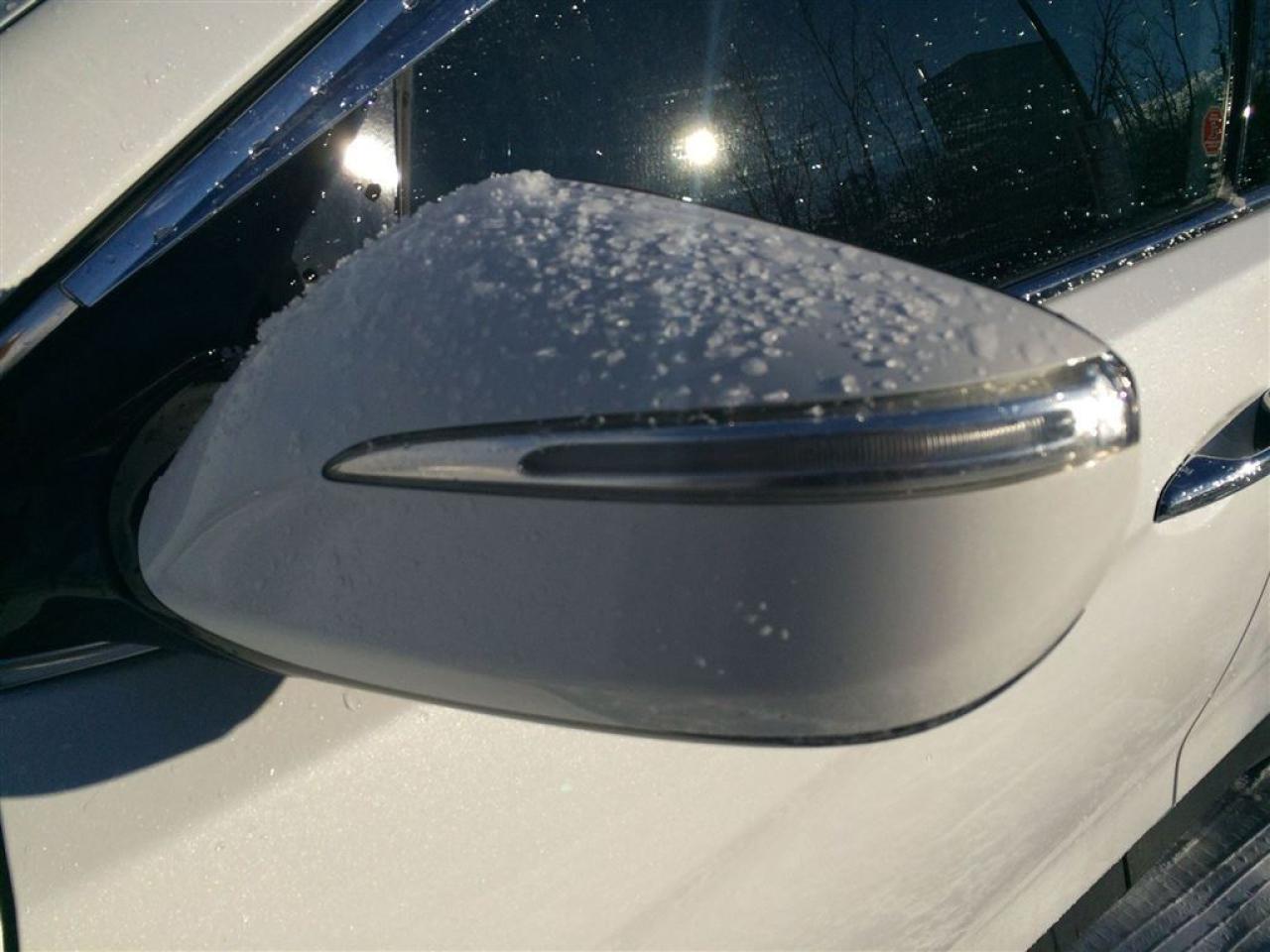 2015 Hyundai Santa Fe Luxury, Leather,Pan roof!!!! Photo