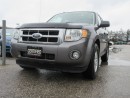 Used 2009 Ford Escape XLT / AWD / ACCIDENT FREE for sale in Newmarket, ON