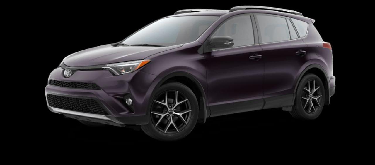 2017 Toyota RAV4 se Photo