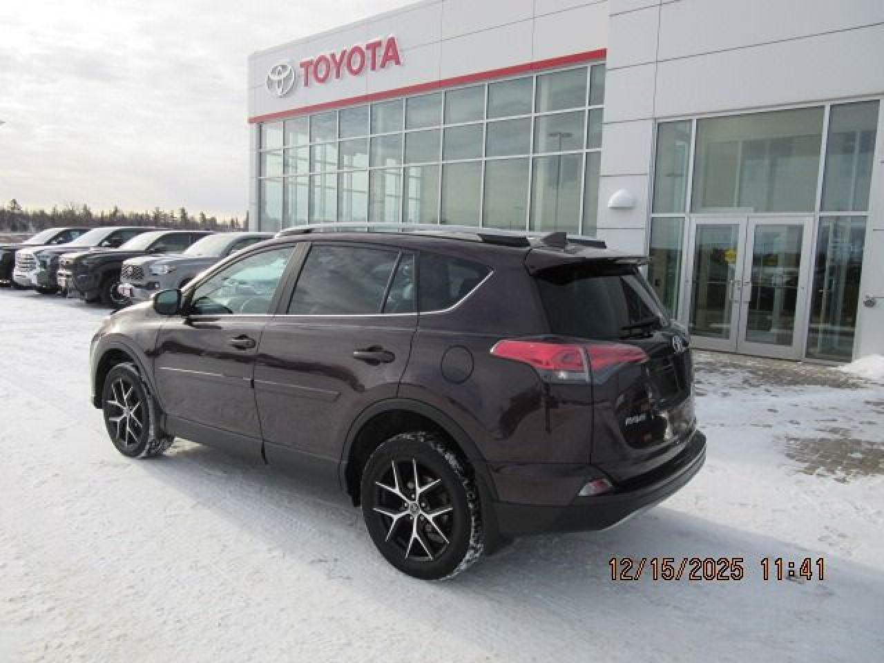 2017 Toyota RAV4 se Photo