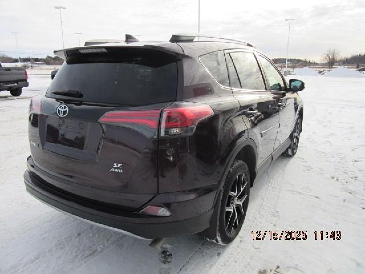 2017 Toyota RAV4 se Photo