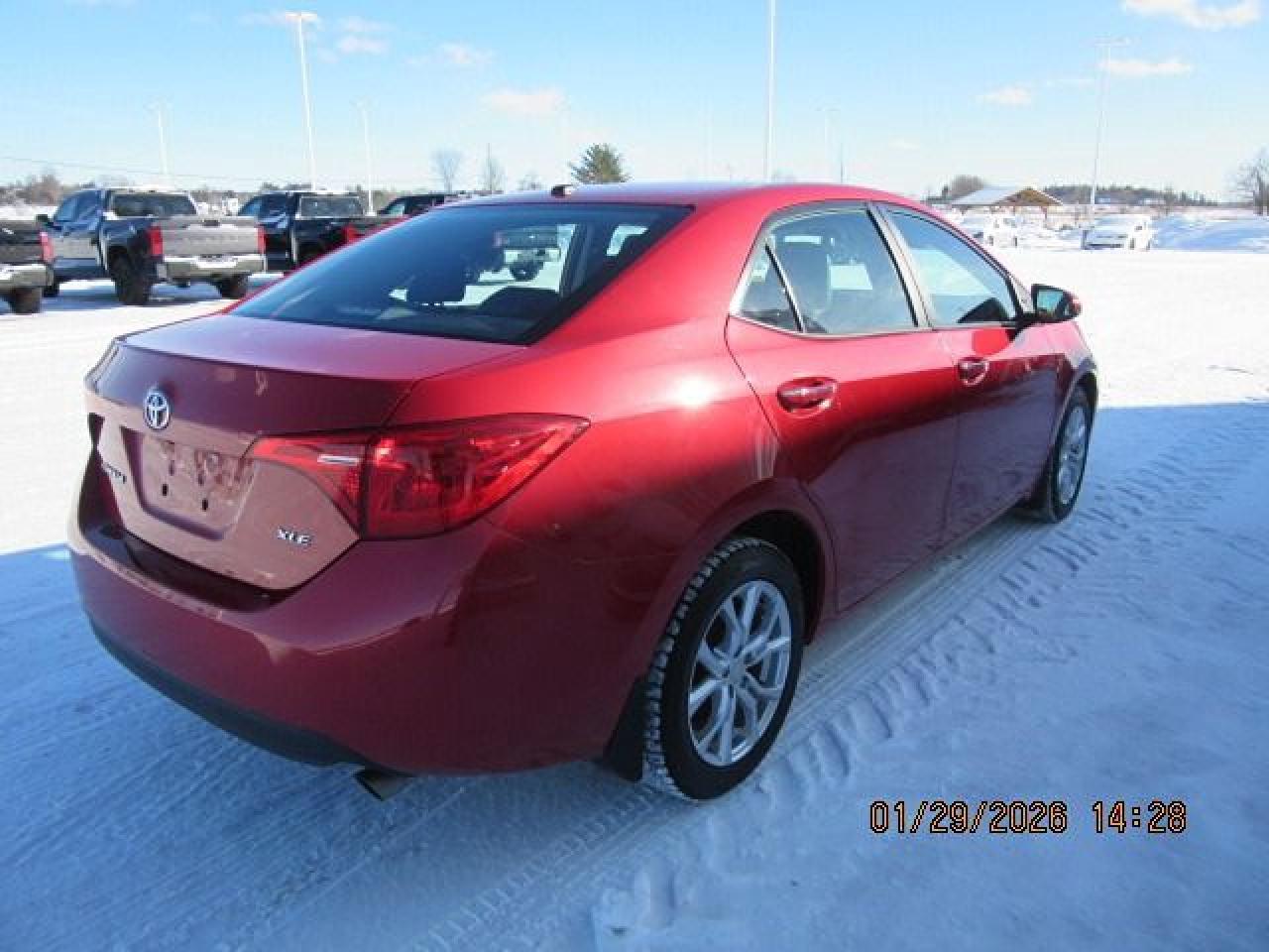 2018 Toyota Corolla XLE Photo