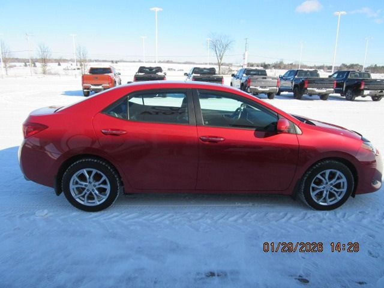 2018 Toyota Corolla XLE Photo