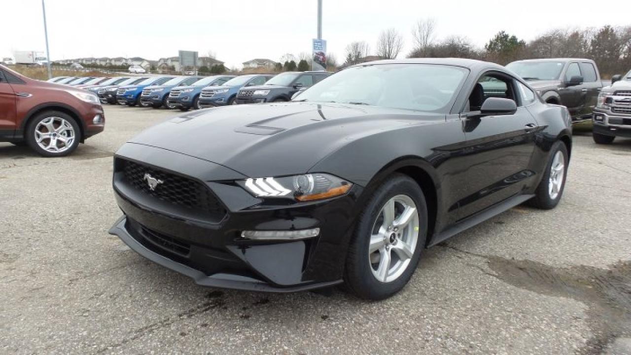 2018 Ford Mustang AUTOMATIC, LOCAL TRADE, WINTER TIRE PACKAGE! Photo0