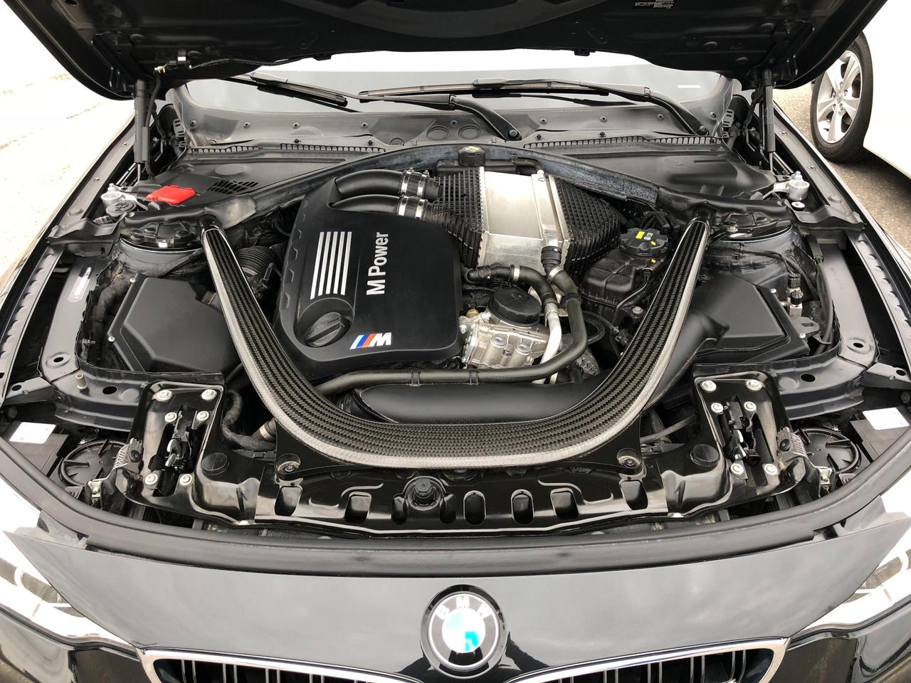 2015 BMW M4 Dual Clutch • Low Mileage! Photo