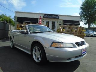 <p>Beautiful 2000 Ford Mustang GT in mint condition! No Winters , Give us a call today for more inforThis vehicle is SOLD  but we can order one in just like it !!!!!</p>