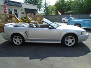 2000 Ford Mustang GT - Photo #5