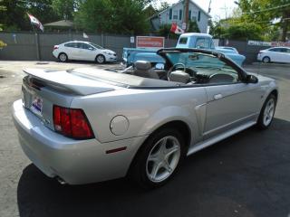 2000 Ford Mustang GT - Photo #6