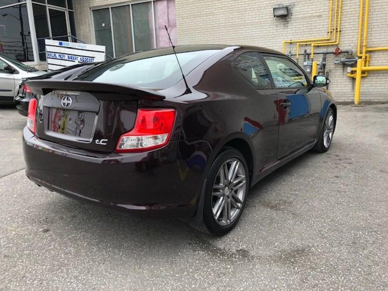 2011 Scion tC Automatic, Loaded! Low Low Mileage! - Photo #6