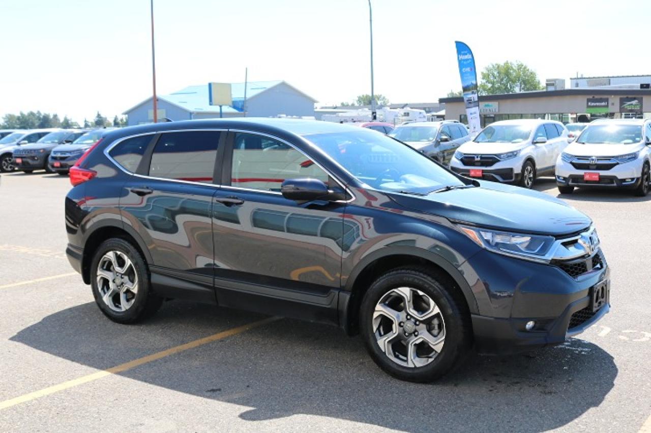 2019 Honda CR-V EX-L Photo
