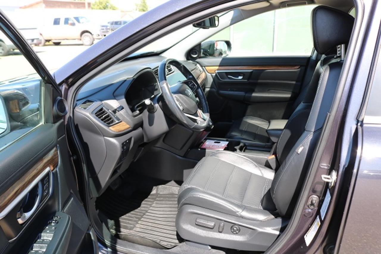 2019 Honda CR-V EX-L Photo