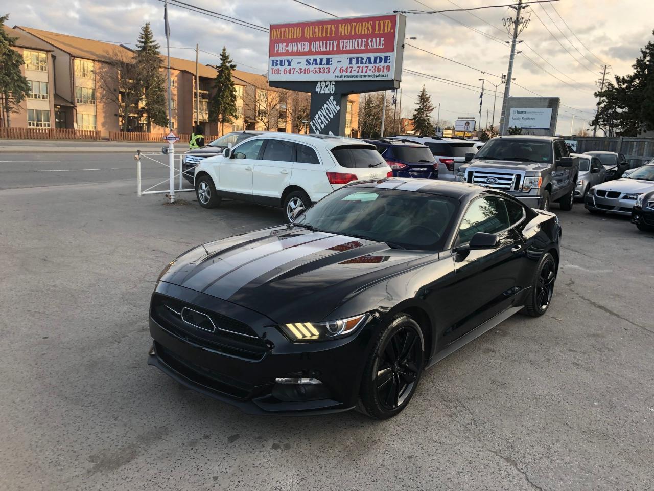 Mustang For Sale Ontario >> Used 2017 Ford Mustang Ecoboost Premium For Sale In Toronto Mustang For Sale Ontario >> Used 2017 Ford Mustang Ecoboost Premium For Sale In Toronto