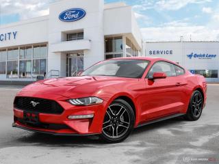 Used 2019 Ford Mustang UNKNOWN for sale in Winnipeg, MB