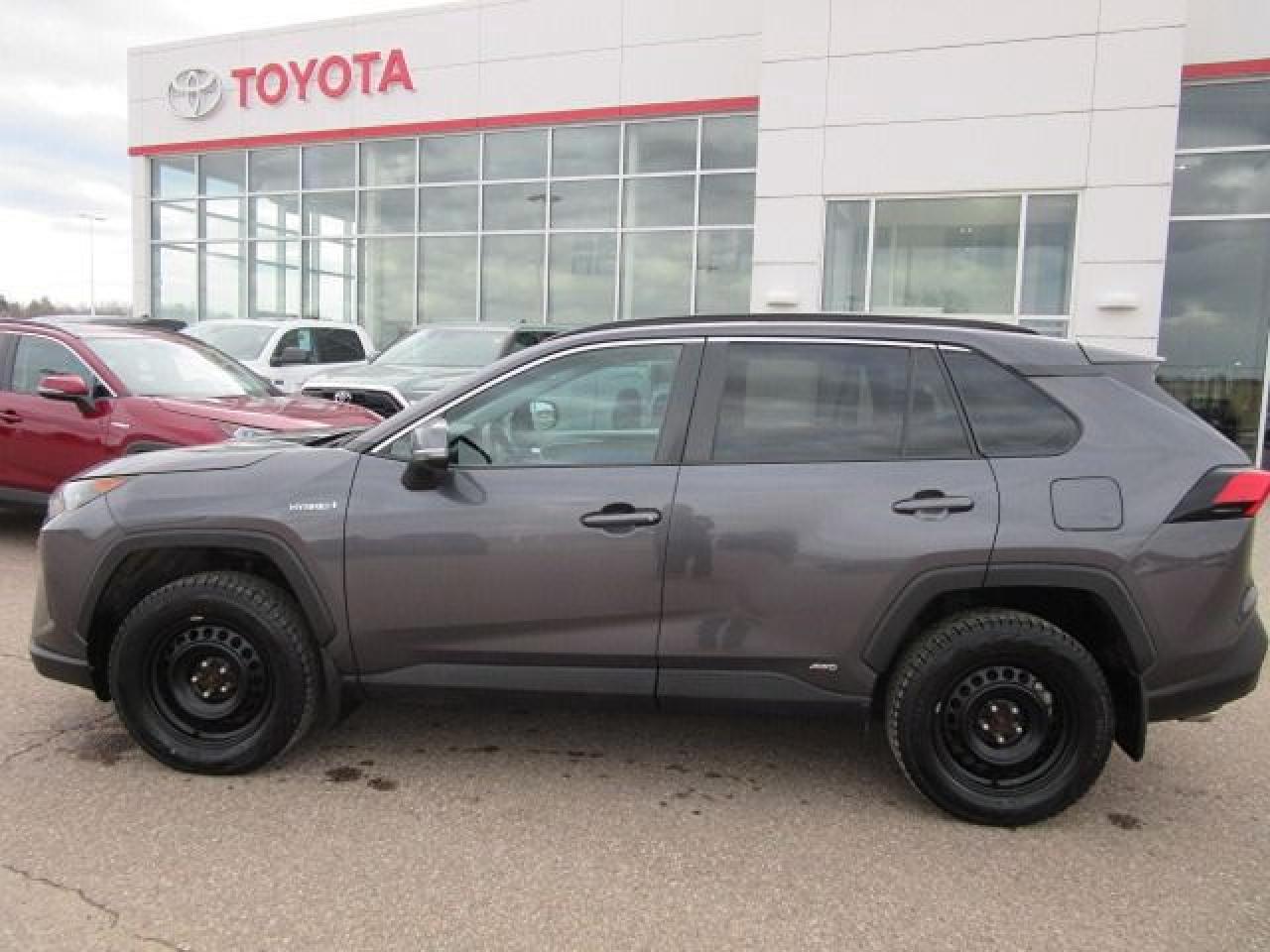 2019 Toyota RAV4 Hybrid LE - Photo #2