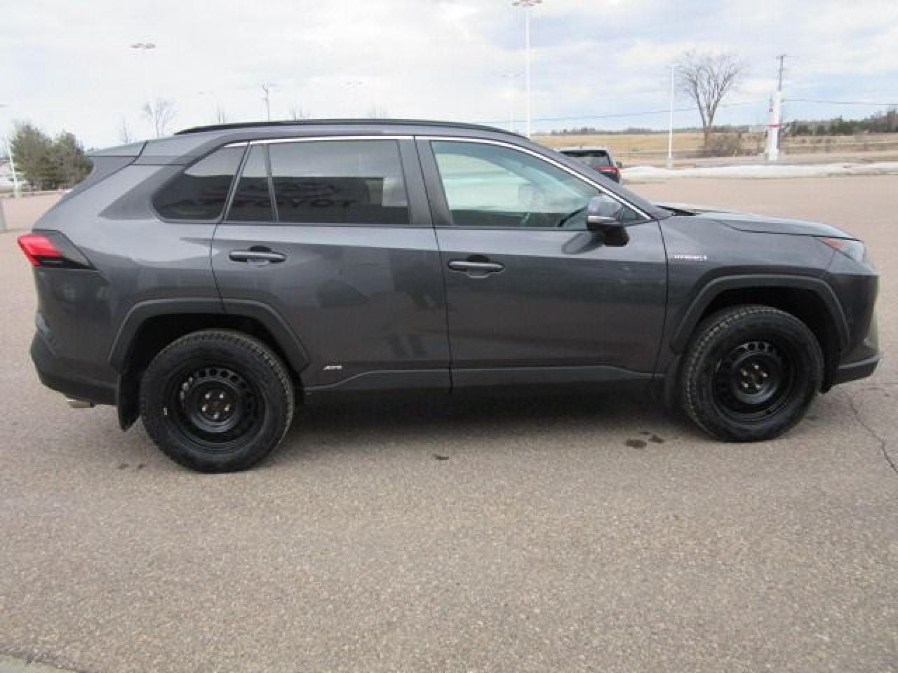 2019 Toyota RAV4 Hybrid LE - Photo #9
