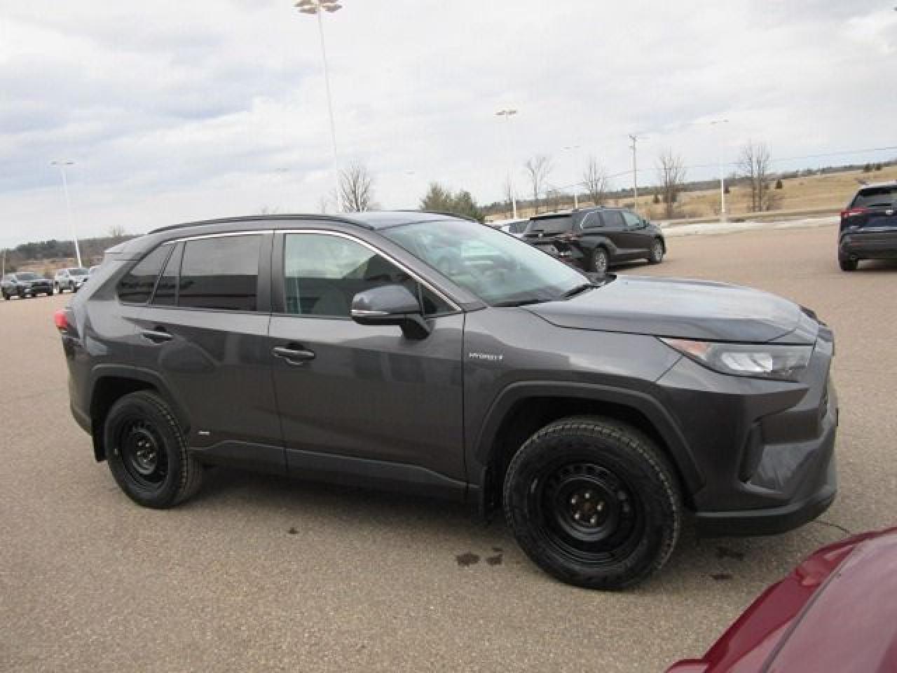 2019 Toyota RAV4 Hybrid LE - Photo #10