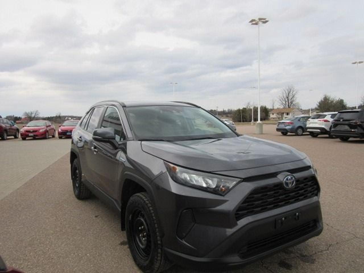 2019 Toyota RAV4 Hybrid LE - Photo #11