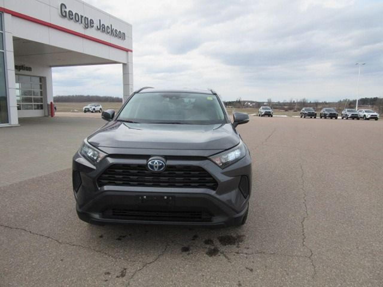 2019 Toyota RAV4 Hybrid LE - Photo #12