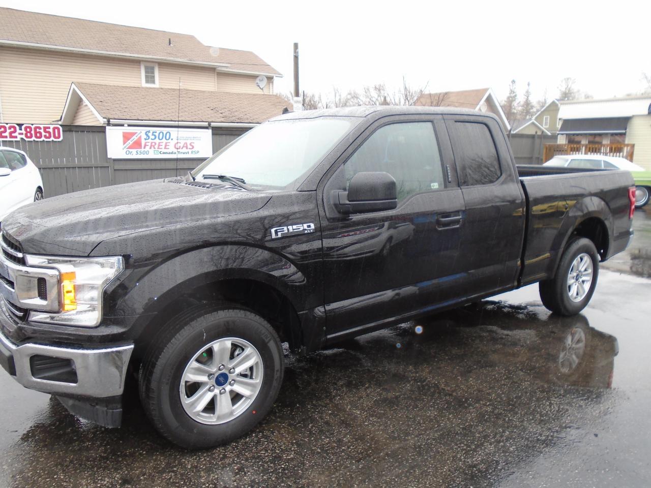 2019 Ford F-150 XLT BRAND NEW - Photo #1