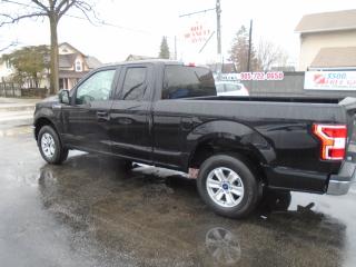 2019 Ford F-150 XLT BRAND NEW - Photo #6