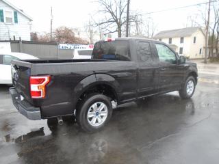 2019 Ford F-150 XLT BRAND NEW - Photo #8