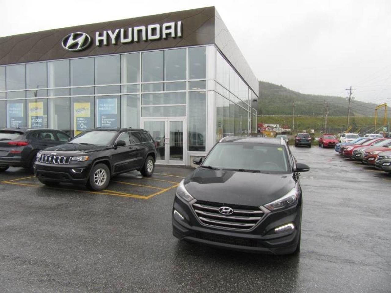 Used and New Hyundai Vehicles In Corner Brook | Parkway Hyundai