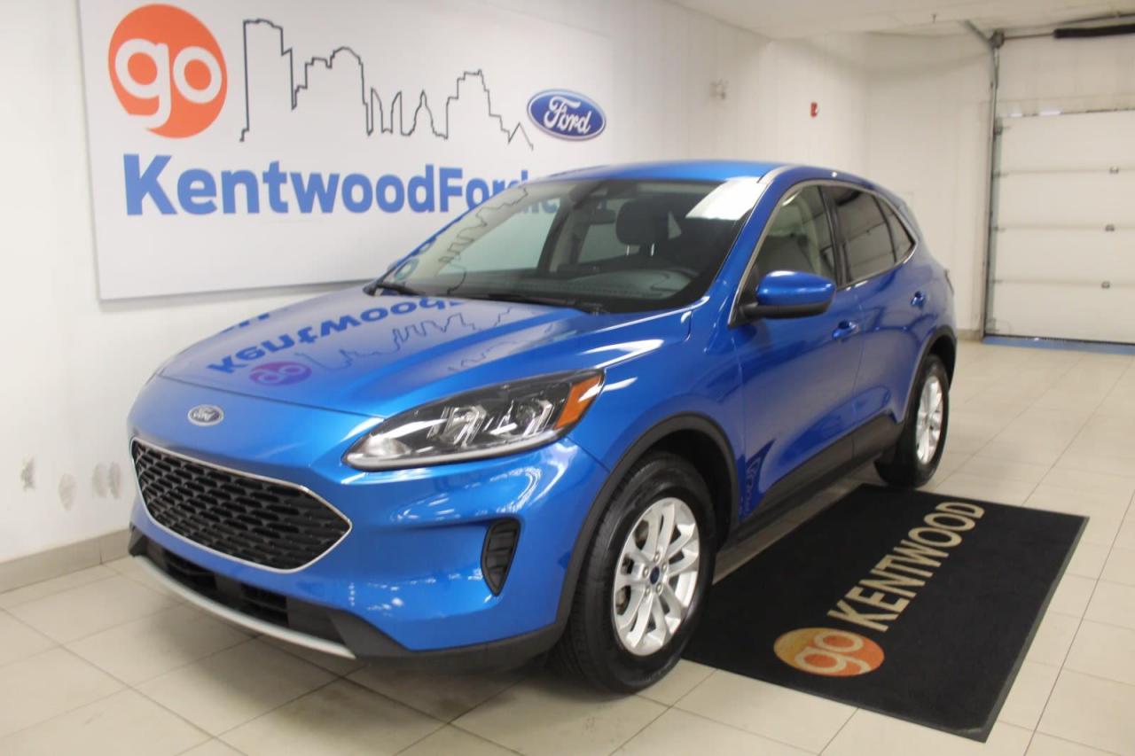 Used 2020 Ford Escape  for sale in Edmonton, AB