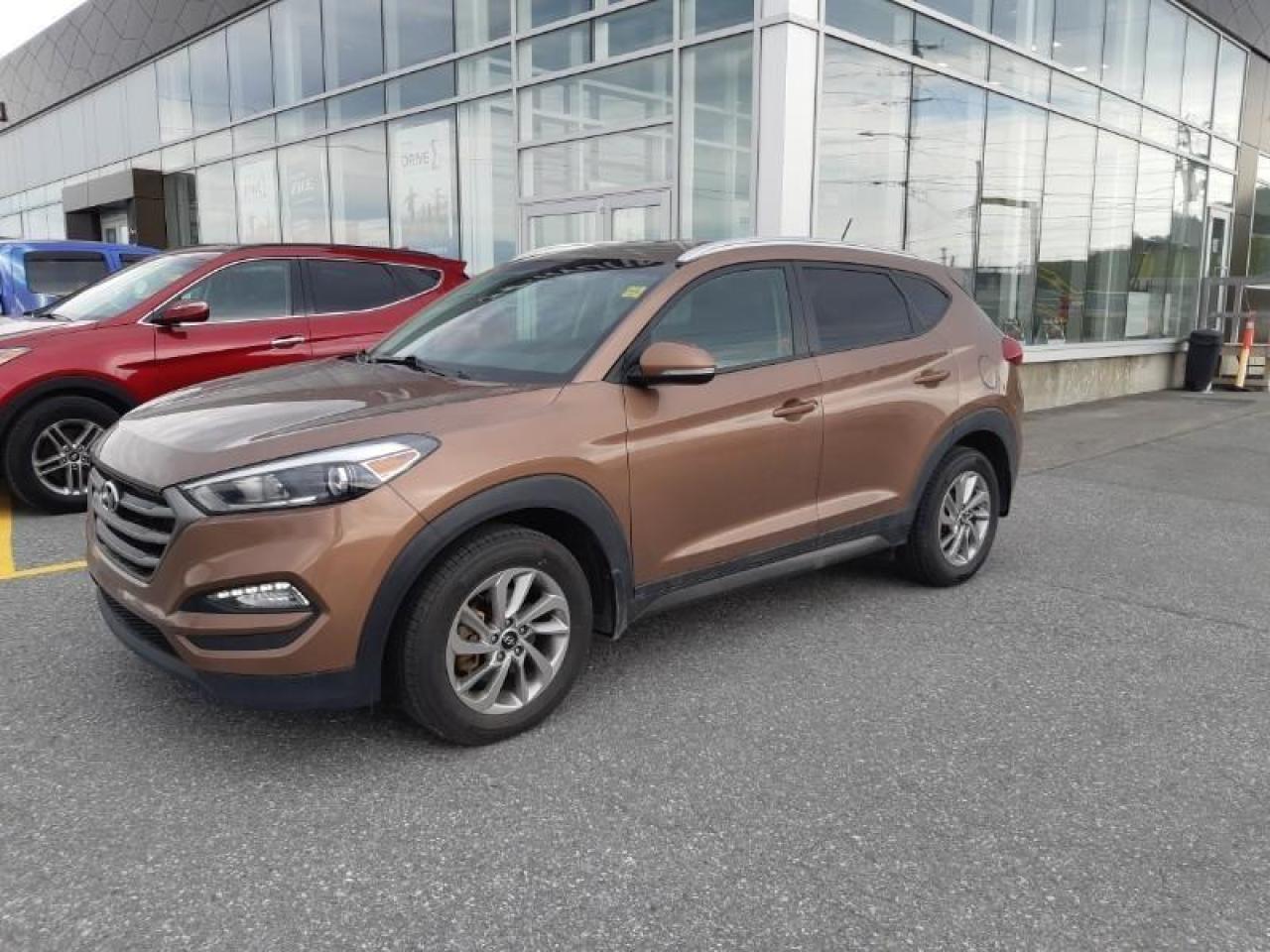 Used and New Hyundai Vehicles In Corner Brook | Parkway Hyundai