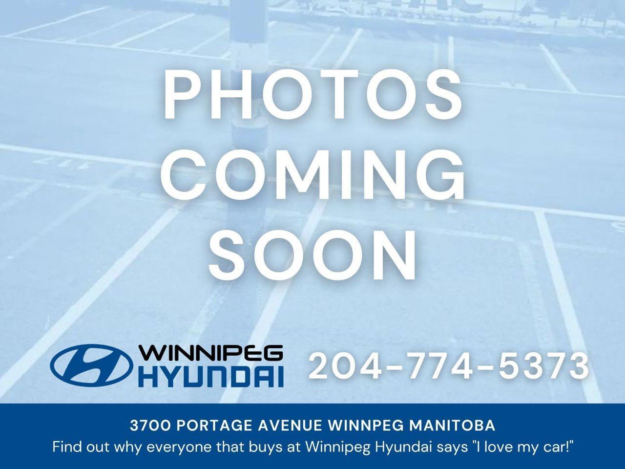 Used 2019 Dodge Grand Caravan GT for sale in Winnipeg, MB