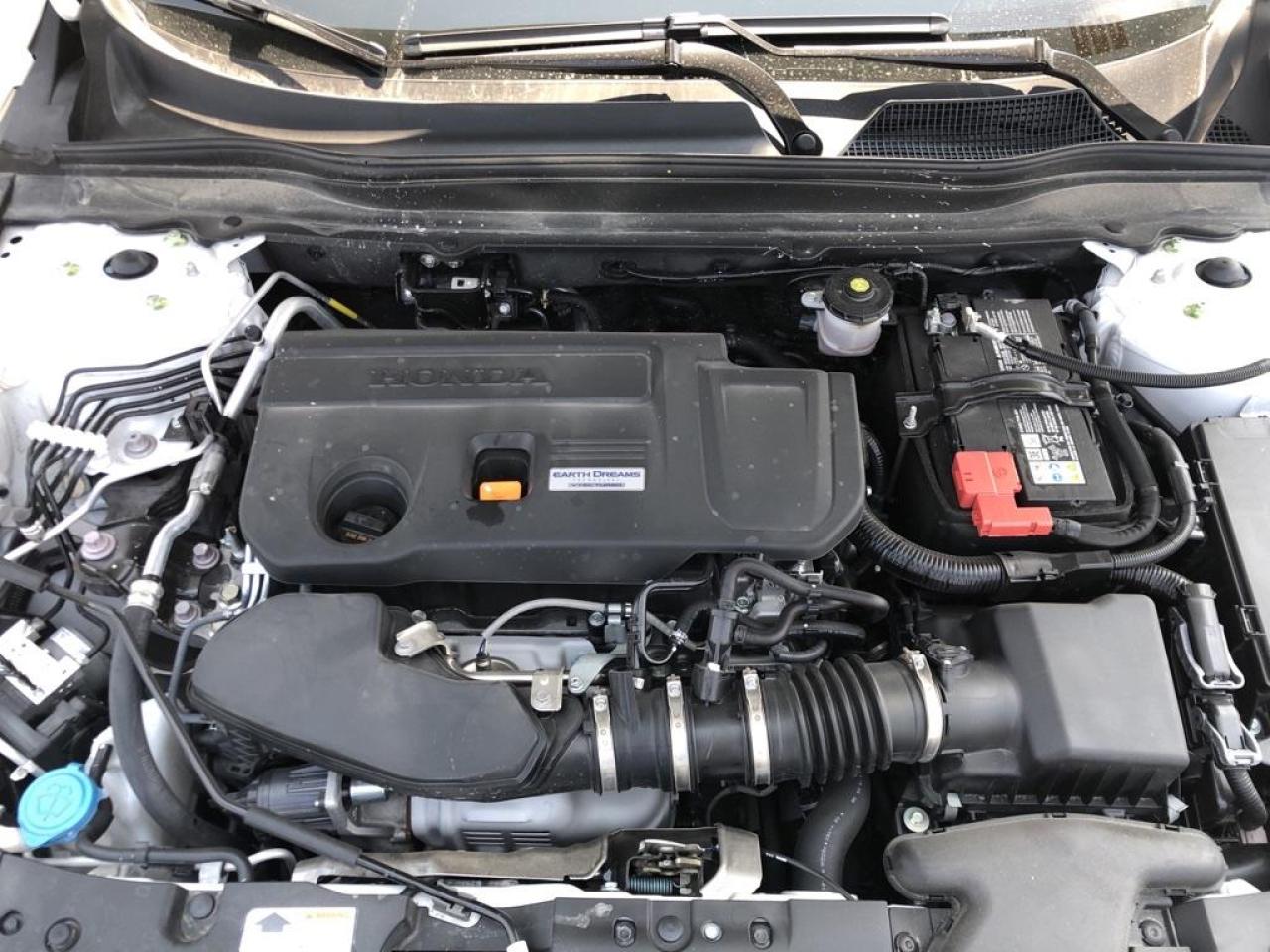 2020 Honda Accord Touring 2.0T Photo