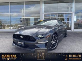 New 2019 Ford Mustang EcoBoost for sale in Winnipeg, MB