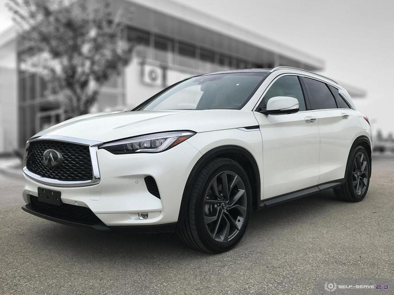 Used 2019 Infiniti QX50 LUXE Navigation! Blindspot! for sale in Winnipeg, MB