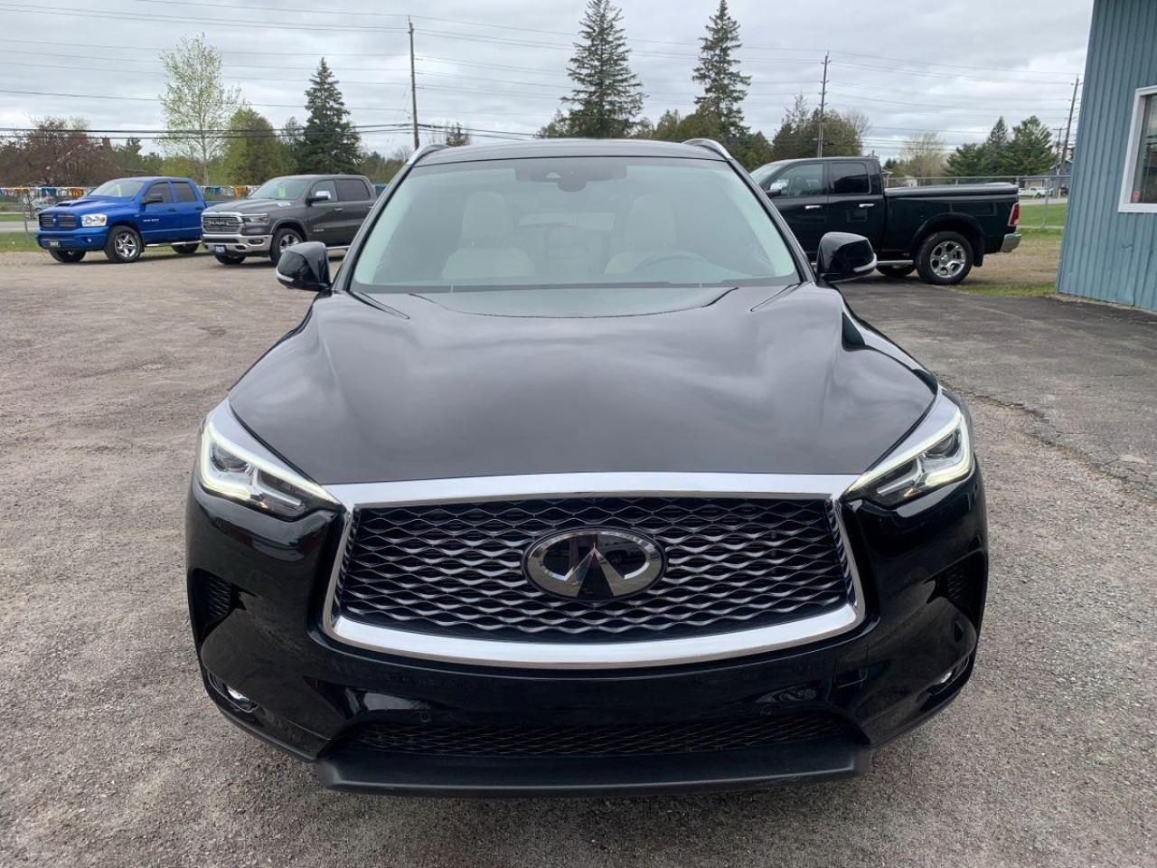 2019 Infiniti QX50 LUXE Photo2