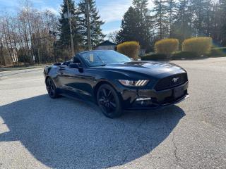 Used 2016 Ford Mustang Premium for sale in Surrey, BC