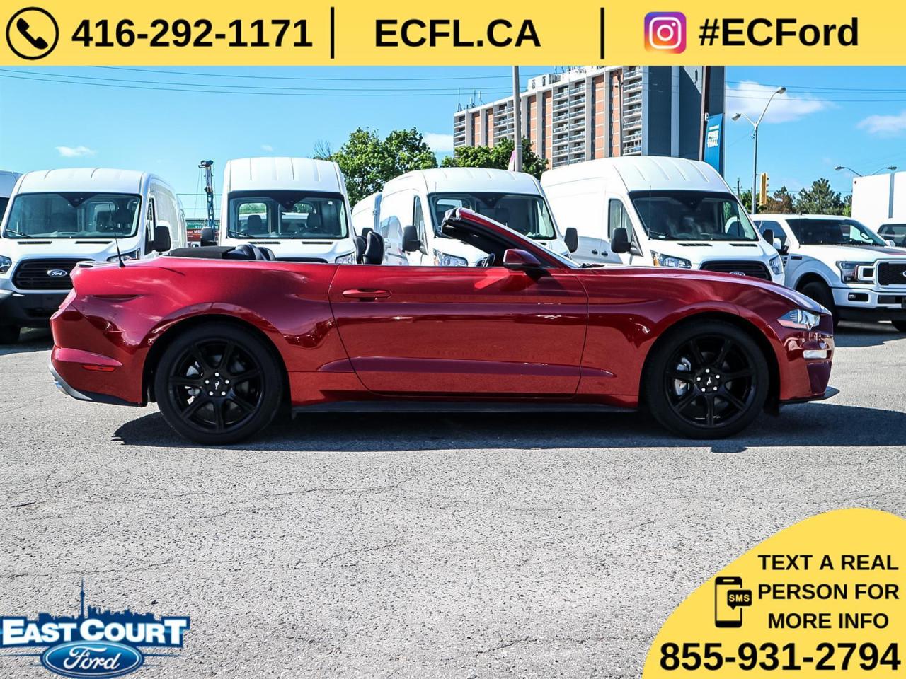 2019 Ford Mustang CONVERT PREMIUM| NAVIGATION| BLACK PACK| 10-SPEED| DUAL ZONE AC Photo