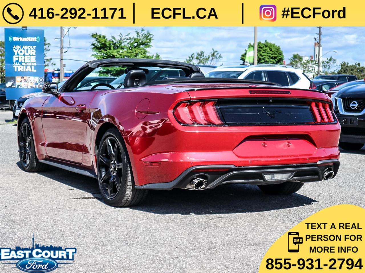 2019 Ford Mustang CONVERT PREMIUM| NAVIGATION| BLACK PACK| 10-SPEED| DUAL ZONE AC Photo
