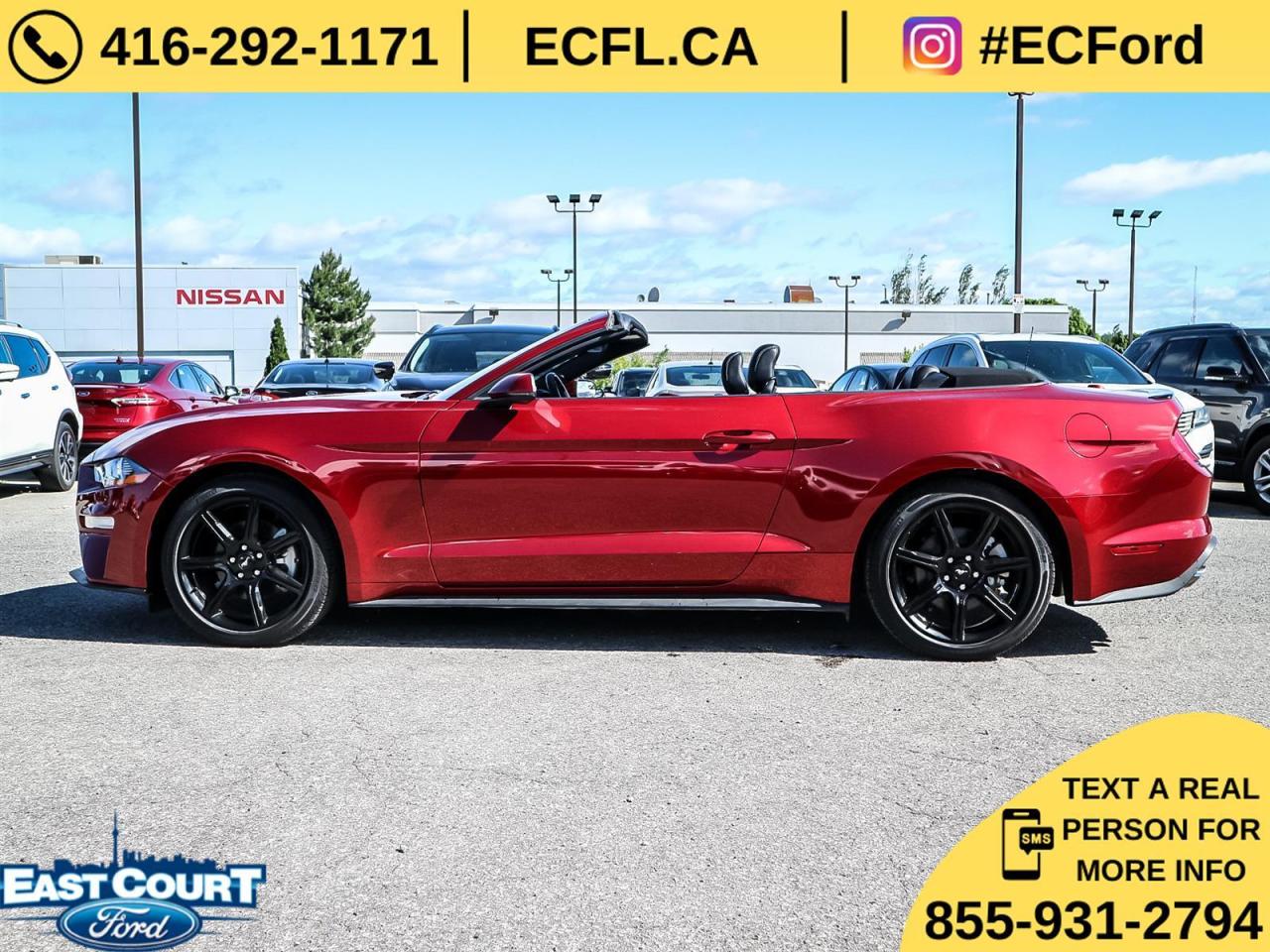 2019 Ford Mustang CONVERT PREMIUM| NAVIGATION| BLACK PACK| 10-SPEED| DUAL ZONE AC Photo