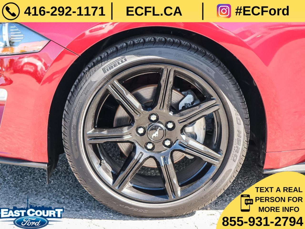 2019 Ford Mustang CONVERT PREMIUM| NAVIGATION| BLACK PACK| 10-SPEED| DUAL ZONE AC Photo