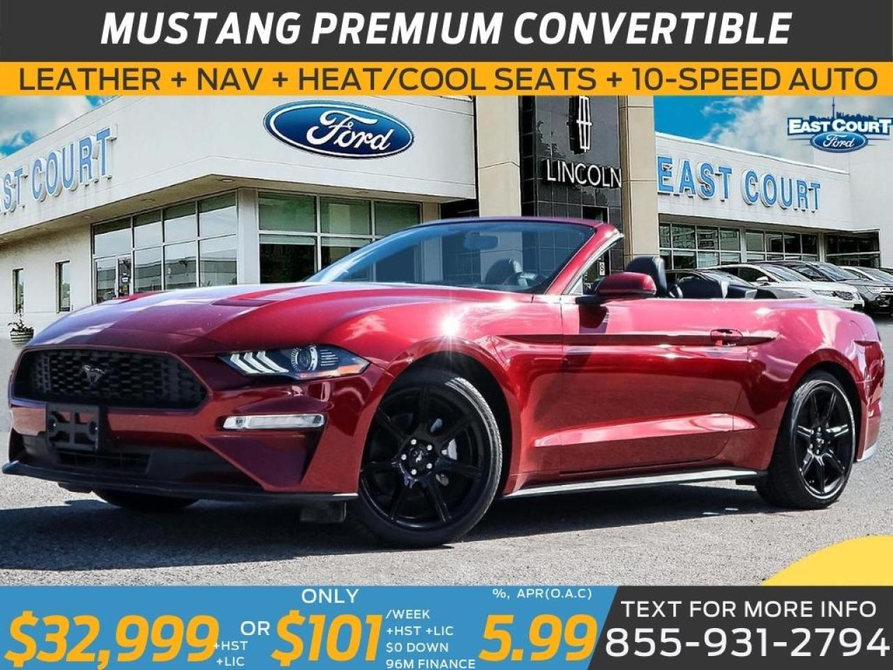 2019 Ford Mustang CONVERT PREMIUM| NAVIGATION| BLACK PACK| 10-SPEED| DUAL ZONE AC Photo0