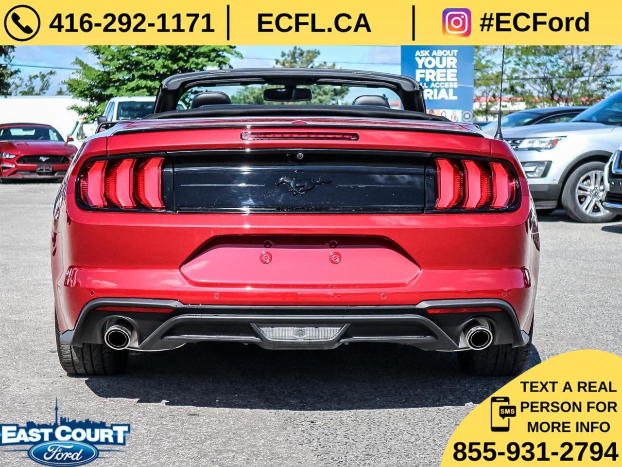 2019 Ford Mustang CONVERT PREMIUM| NAVIGATION| BLACK PACK| 10-SPEED| DUAL ZONE AC Photo