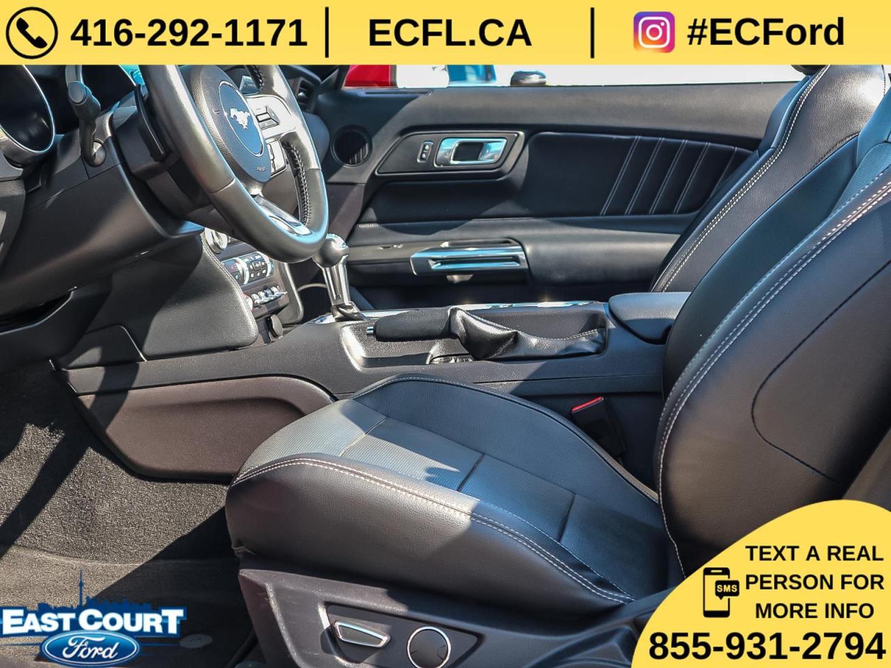 2019 Ford Mustang CONVERT PREMIUM| NAVIGATION| BLACK PACK| 10-SPEED| DUAL ZONE AC Photo