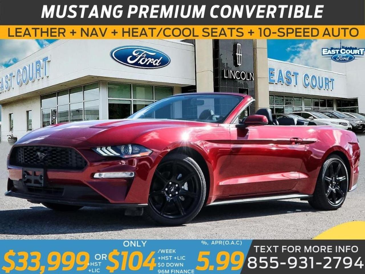 2019 Ford Mustang CONVERT PREMIUM| NAVIGATION| BLACK PACK| 10-SPEED| DUAL ZONE AC Photo0